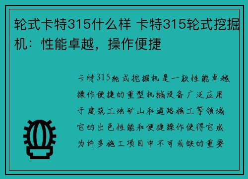 轮式卡特315什么样 卡特315轮式挖掘机：性能卓越，操作便捷